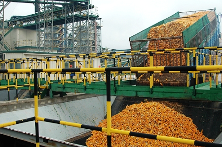 敦煌種業(yè)先鋒良種有限公司酒泉種子加工廠三、四期工程竣工投產(chǎn)