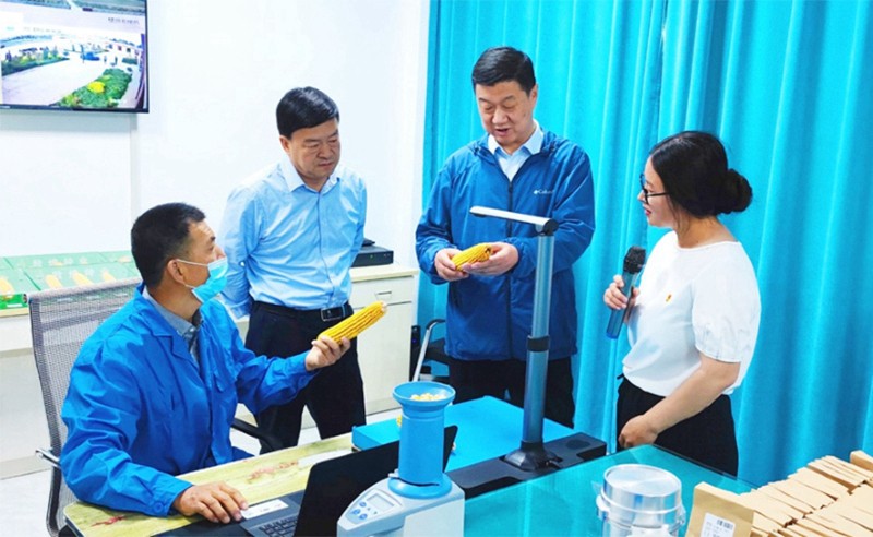 甘肅省地方金融監(jiān)管局、甘肅證監(jiān)局領(lǐng)導(dǎo)蒞臨敦煌種業(yè)調(diào)研指導(dǎo)