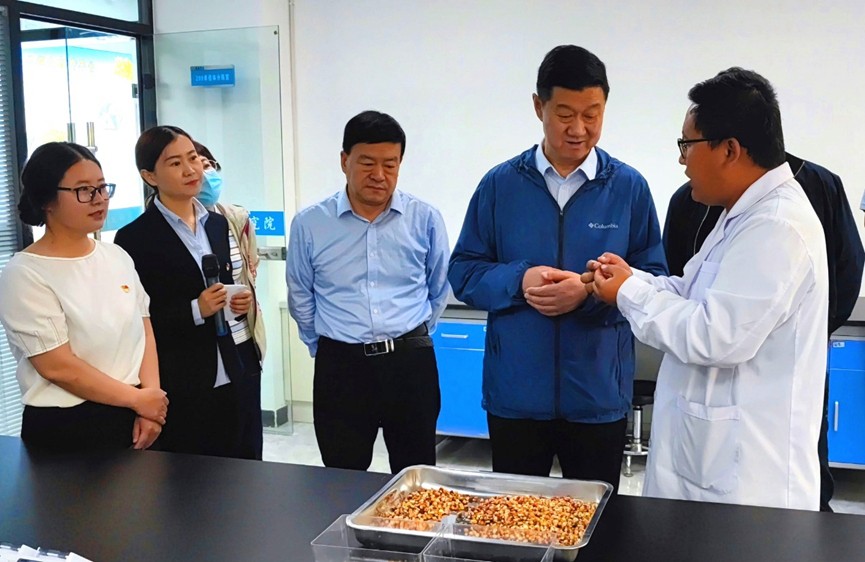 甘肅省地方金融監(jiān)管局、甘肅證監(jiān)局領(lǐng)導(dǎo)蒞臨敦煌種業(yè)調(diào)研指導(dǎo)