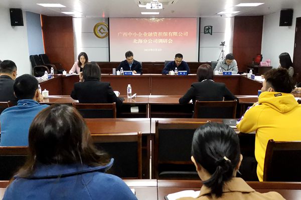 中小擔保領導赴北海、防城港調研 